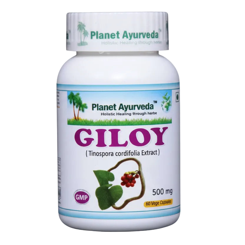 Giloy Organic (Guduči) kapsulas 60 gab. - pretvīrusu līdzeklis un dabīgā antibiotika