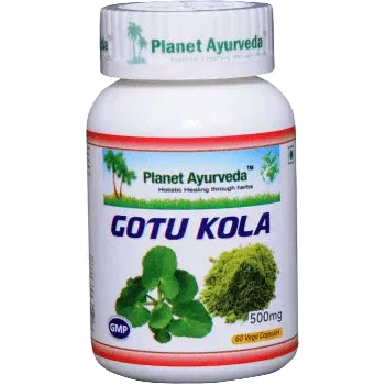 Gotu Kola Organic kapsulas 60 gab. - atmiņas uzlabošanai, pret vēnu varikozi un depresiju