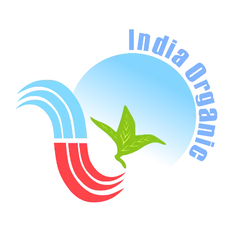 BRAHMI kapsulas 60 gab. - atmiņas atbalsts, nervu sistēmas stiprināšana